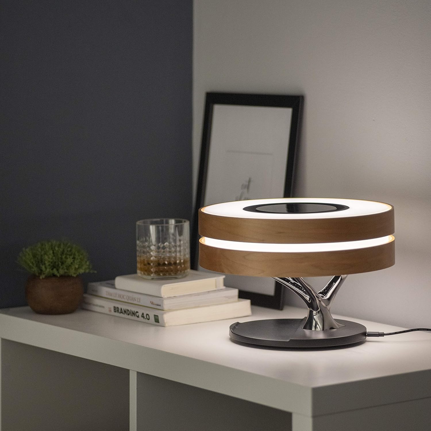 Zaigon Multifunctional Tree